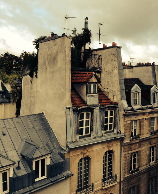 Paris rooftops